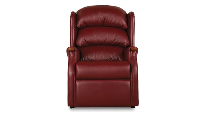 Celebrity Furniture Westbury Leather Chair